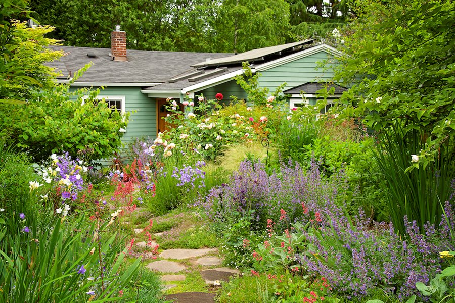The Meadow Yard project